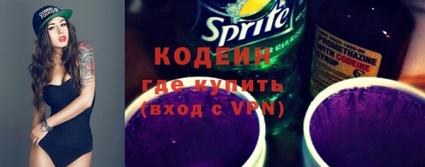 молекула духа Великий Новгород