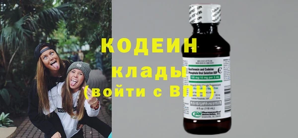 прущий лед Алзамай