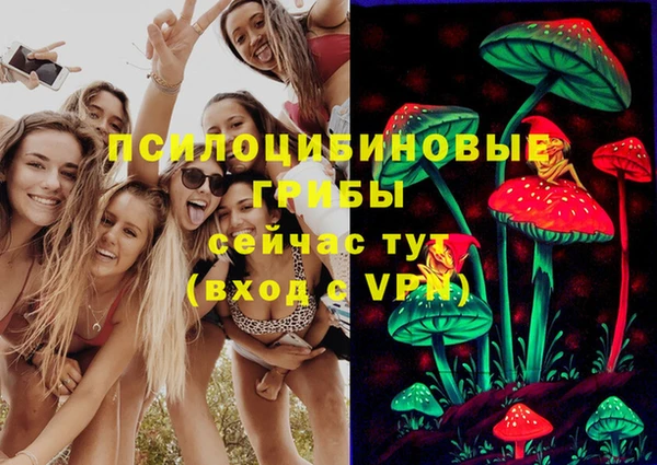 дурь Лабытнанги