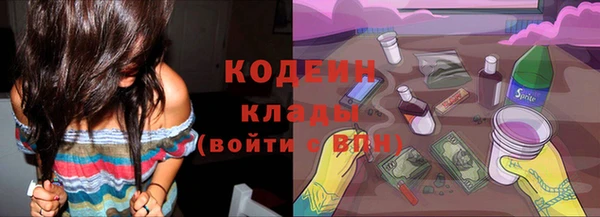 прущий лед Алзамай